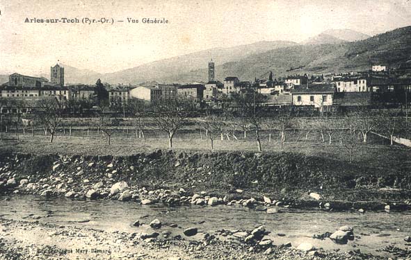 Arles sur Tech - Vue générale