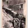 muletier