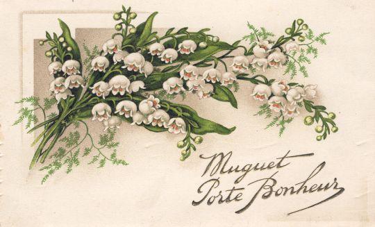 Muguet porte-bonheur