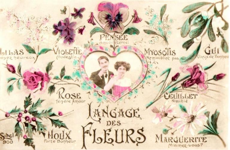 LE LANGAGE DES FLEURS