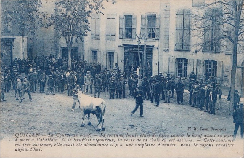 Course au boeuf quillan 1