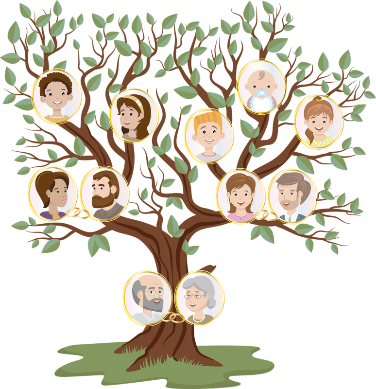 Family tree 6093805 1280